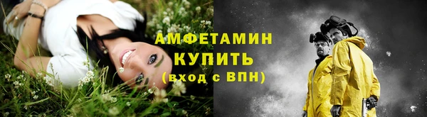 PSILOCYBIN Рославль