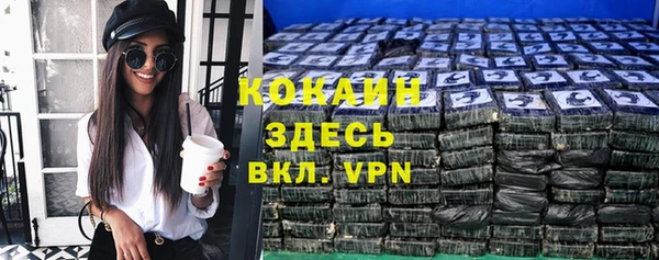 PSILOCYBIN Рославль