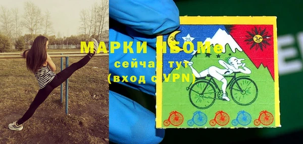 PSILOCYBIN Абаза