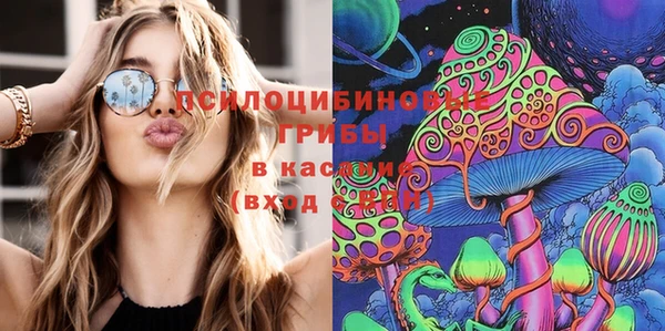 PSILOCYBIN Абаза